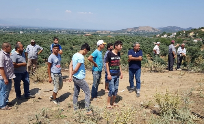 Tire’deki makilik yangını söndürüldü