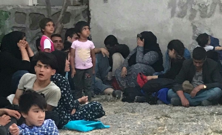 Ayvalık’ta 37 mülteci yakalandı