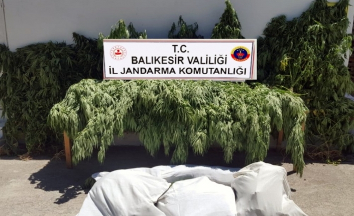 Balıkesir’de jandarma 23 kilo esrar ele geçirdi