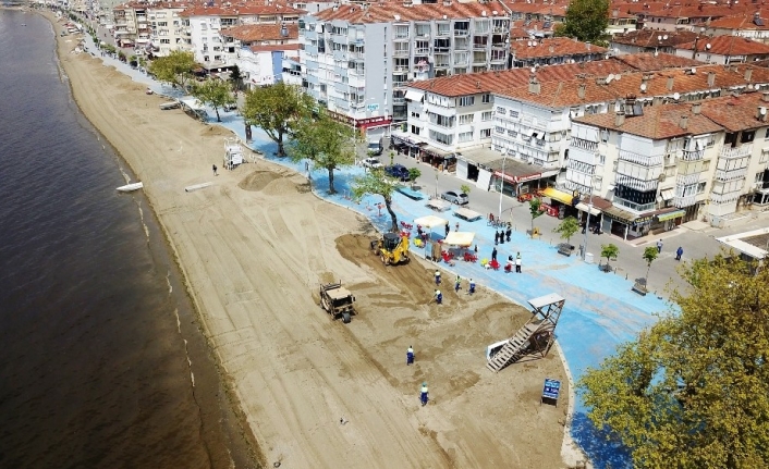 Bursa plajları yosunlardan arındırılıyor