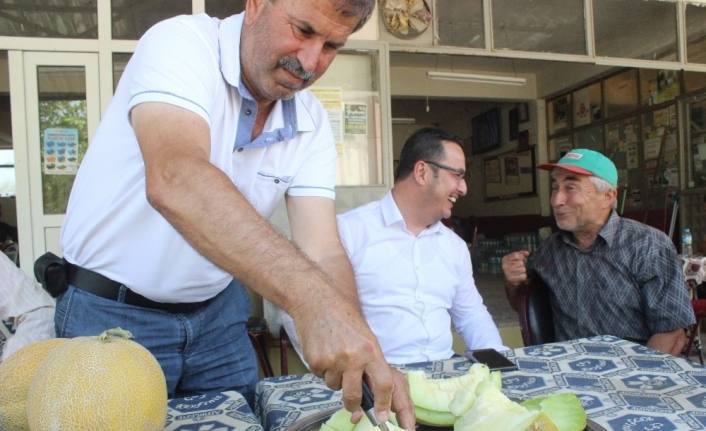 Bursa’da kavun hasadı başladı, fiyatlar yüzleri güldürdü