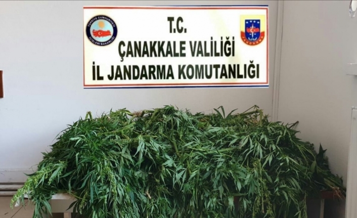 Çanakkale’de uyuşturucu operasyonu