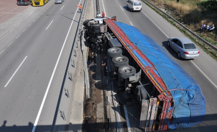 Çekirdek yükü tır devrildi