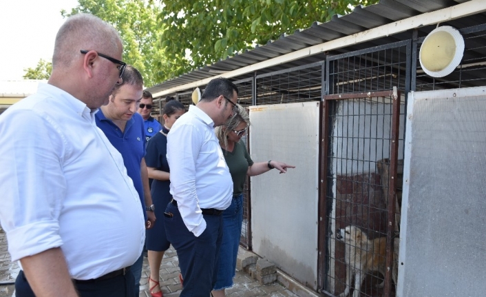 Hayvanseverler barınakta buluşuyor