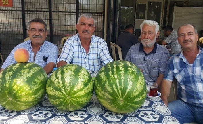 Ödemiş karpuzunun tadı var, alıcısı yok