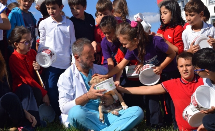 Osmangazi’de binlerce sokak hayvanı sağlığına kavuştu