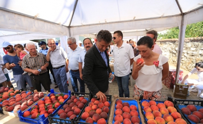 Selçuk Şeftali Şenliği ile şenlendi