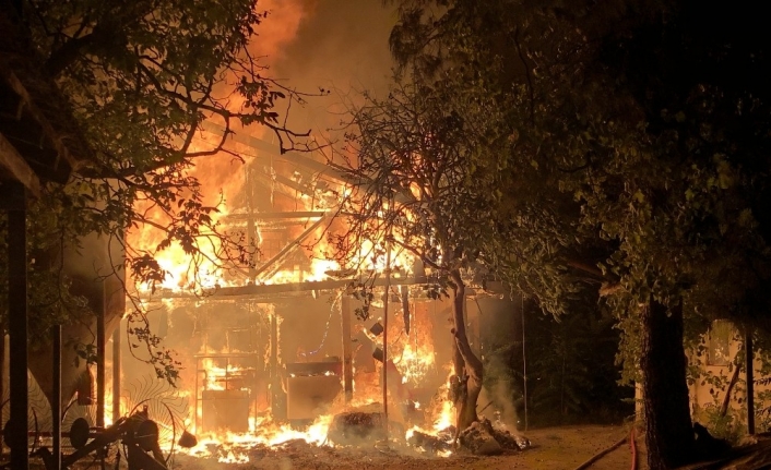 Yangında can pazarı...Bursa’da can kurtarmak için zamanla yarış