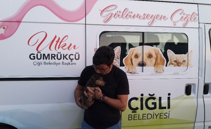 Yavru köpek 5 metre derinlikten kurtarıldı