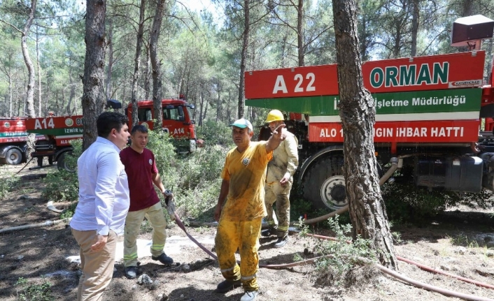Binlerce İzmirli gönüllü oldu: "Ormanlarımız için bizde yardım edelim"