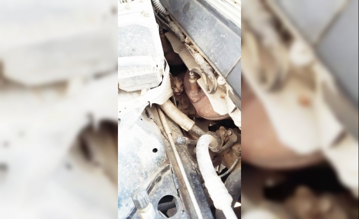 Burhaniye’de otomobilin motoruna giren kediyi itfaiye çıkardı