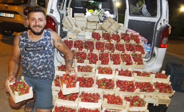 Burhaniye’de Yazlıkçılar Kazdağı çileğini sevdi