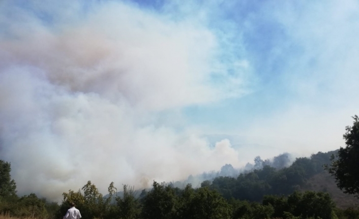 Bursa’da orman yangını