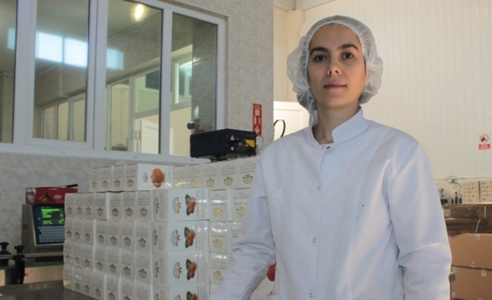 C vitamini deposu kestane şekeri bayramların en güzel hediyesi