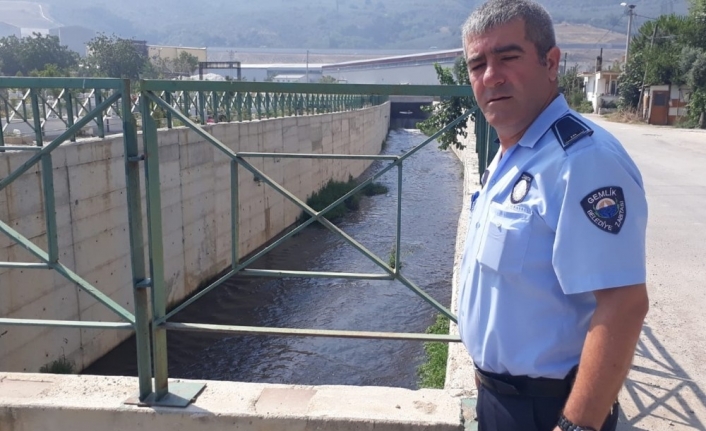Çarşı deresindeki kirliliğin sebebi bulundu