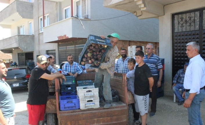 Dünyada sadece Bursa’da yetişiyor ama alan yok