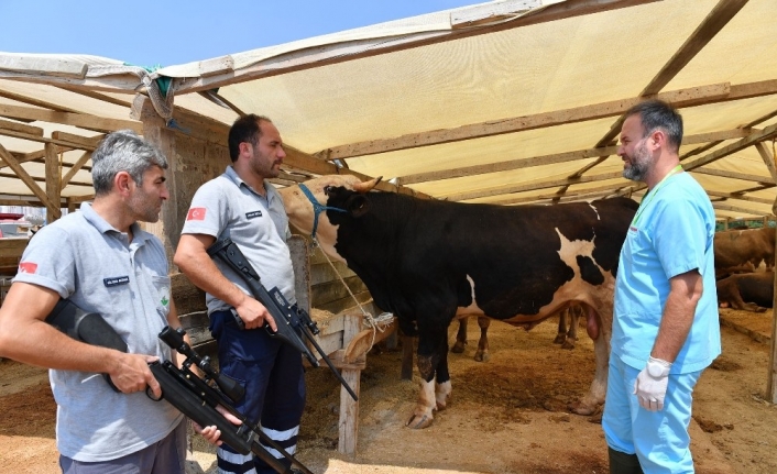 Kurban yakalama timi bayrama hazır
