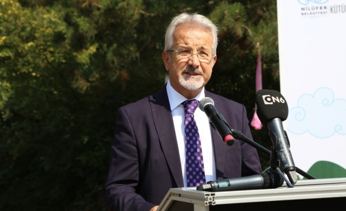 Onlar bu yaz kütüphanedeydi