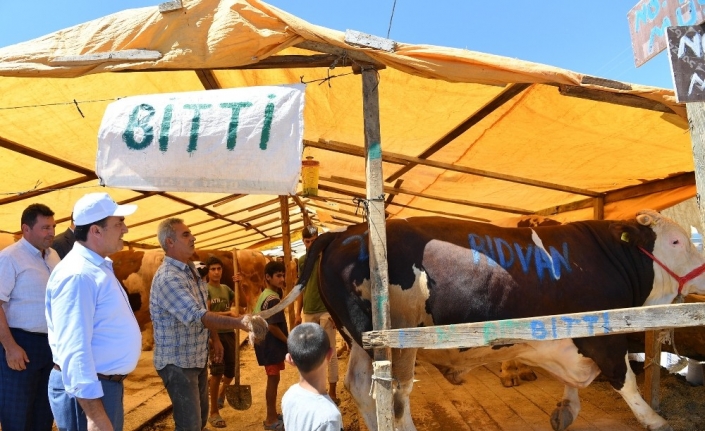 Osmangazi kurban bayramına hazır