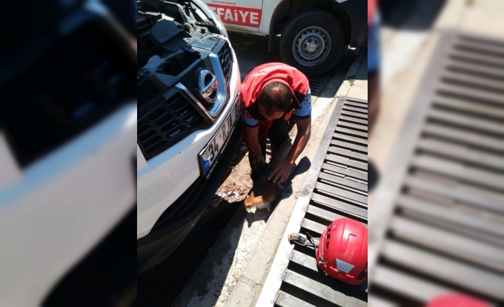 Otomobilin motor bölümüne giren kedi yavrusunu itfaiye kurtardı