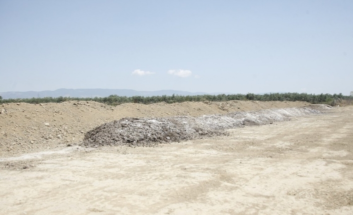 Ovaya dökülen tavuk gübresi bıktırdı