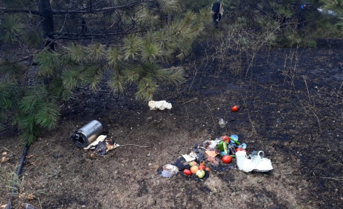 Piknikçiler ağaçlık alanı yaktı