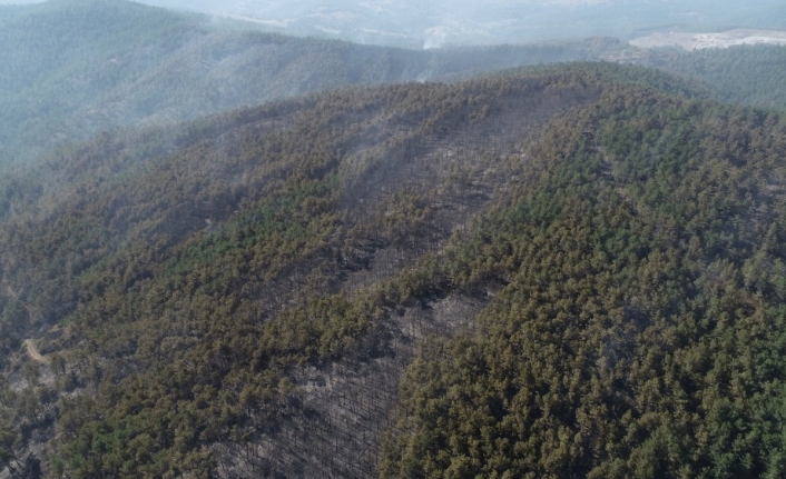 Türkiye’nin kararan ciğerleri havadan görüntülendi