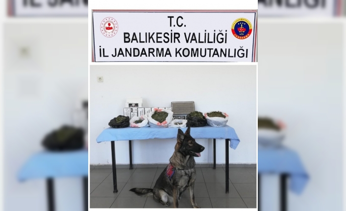 Ayvalık’ta jandarma 5.600 gram uyuşturucu ele geçirdi