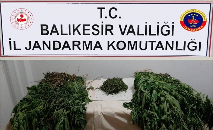 Balıkesir’de jandarmadan uyuşturucu operasyonu