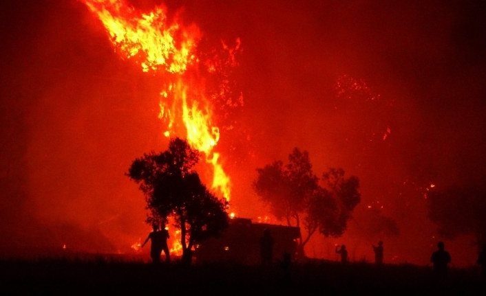 Bir ayda 300 orman yangını çıktı...Uzmanlar uyardı