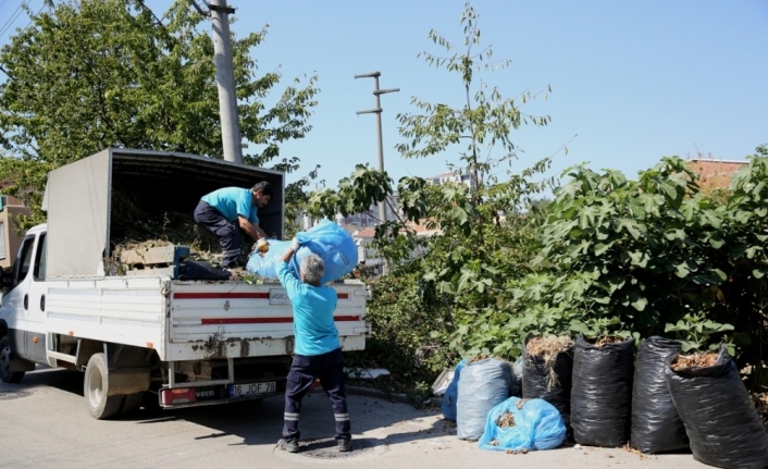 Budama atıkları yeniden toprağa kazandırılıyor