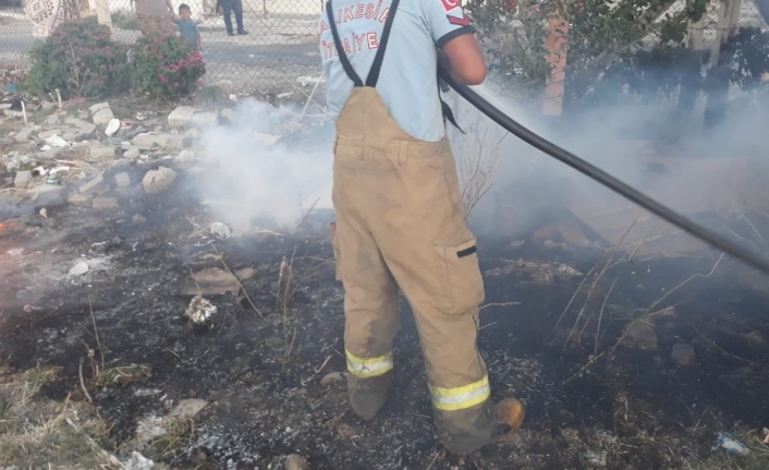 Burhaniye’de ot yangınlarında ağaçlar zarar gördü