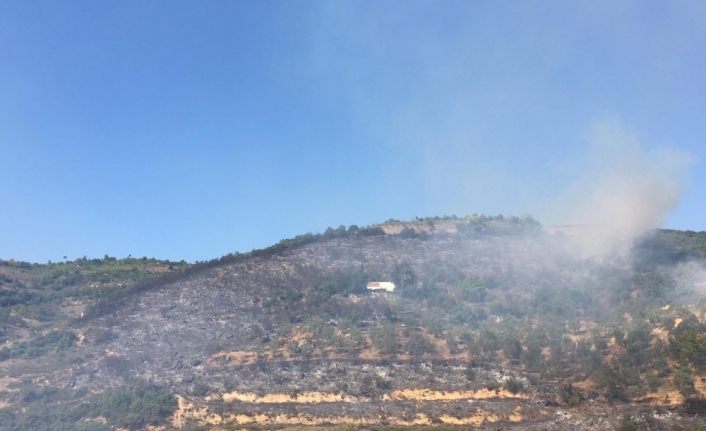 Bursa’da korkutan orman yangını