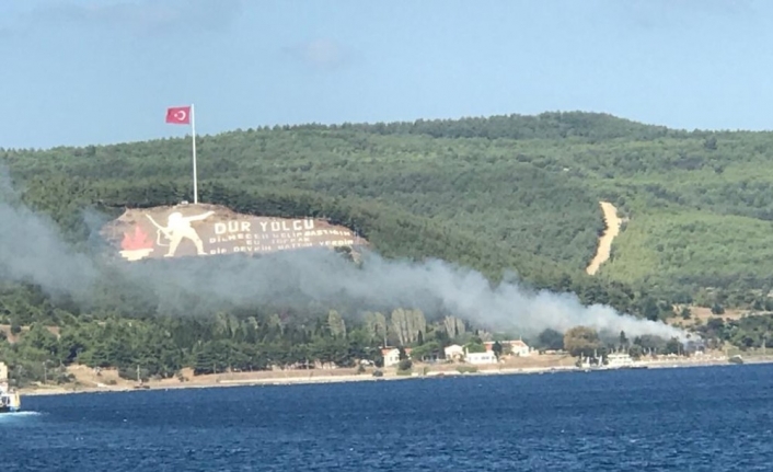 Çanakkale’de orman yangını