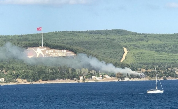 Çanakkale’de orman yangını söndürüldü