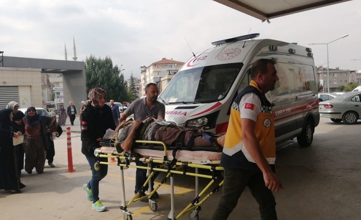 Ceviz ağacından düşen adam hayatını kaybetti