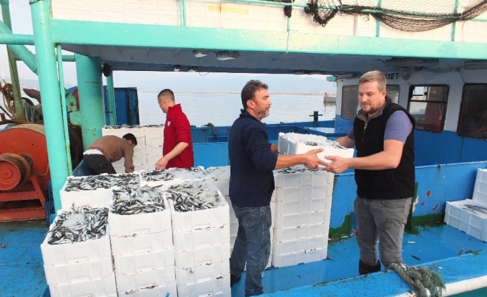 Hamsinin kilosu 15 liraya geriledi