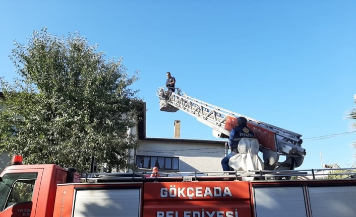 İtfaiyeden karga operasyonu