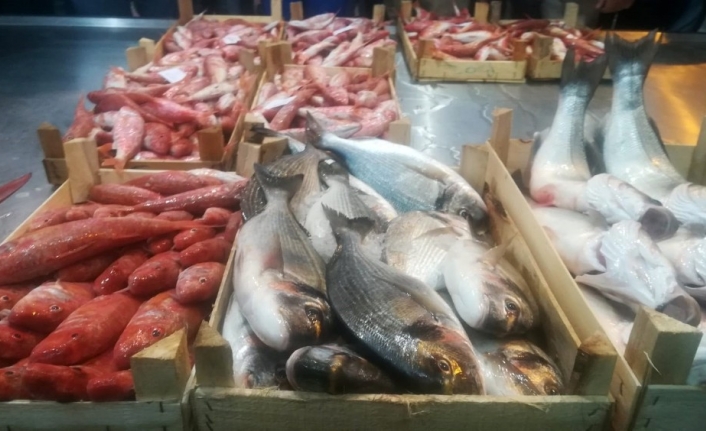 İzmir’de balık bereketi