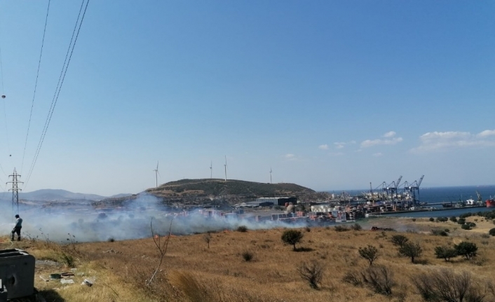 İzmir’de makilik ve otluk alanda yangın