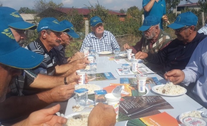Karaorman’da tarla günü