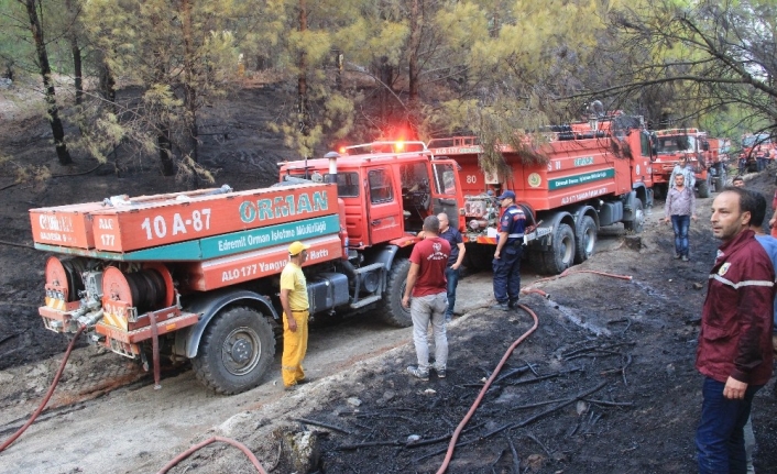 Kazdağları’nda çıkan orman yangını söndürüldü