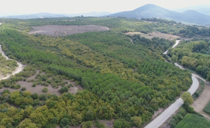 Mustafakemalpaşa termal turizmin cazibe merkezi olacak