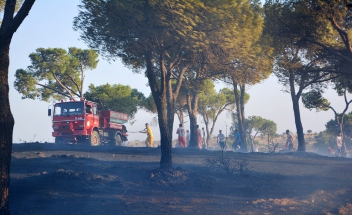 Orman yangınlarıyla mücadelede yeni dönem