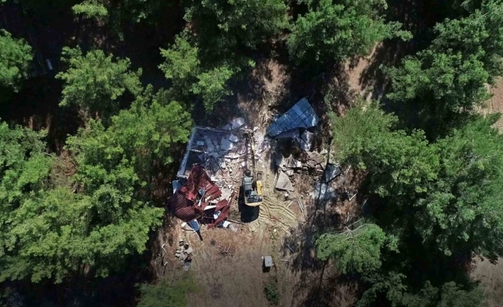Villa ve çiftlik evi yaparak 50 dönümlük ormanı katlettiler