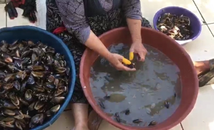 Bakteri yuvası midyeciye baskın, ekipler bile şaşırdı