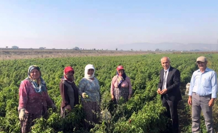 Başkan Aydın’dan çiftçi kadınlara sürpriz ziyaret