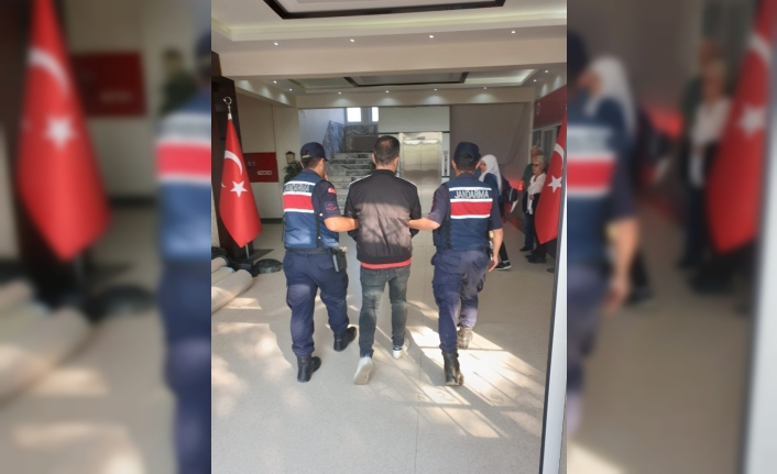 Bir operasyonda jandarmadan: 299 göçmen yakalandı