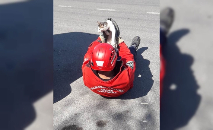 Burhaniye’de itfaiyeden kedi kurtarma operasyonu