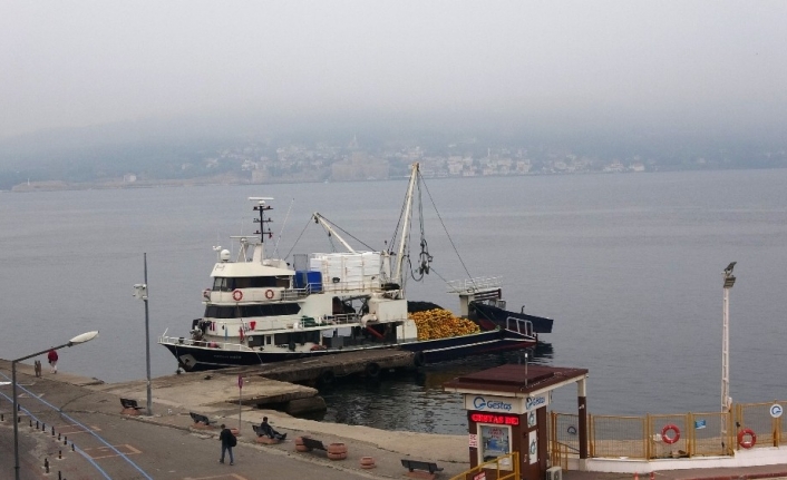 Çanakkale Boğazı sis nedeniyle gemi trafiğine kapatıldı